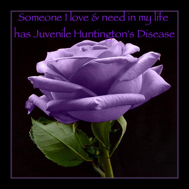 1375686_10200633791868313_2135033806_n