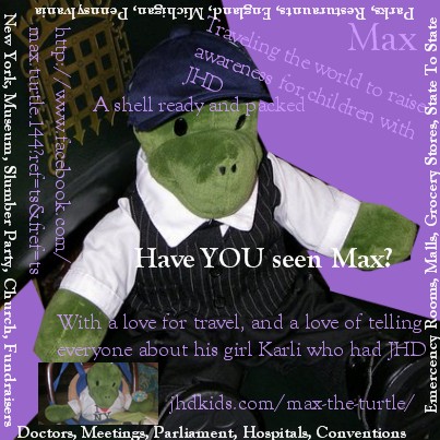max the turtle
