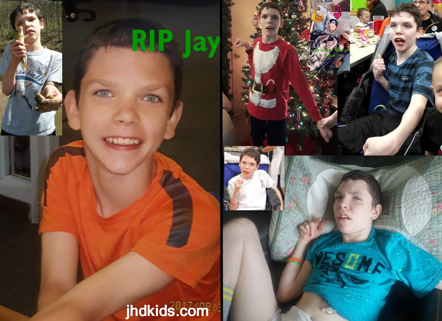 Jay (2)