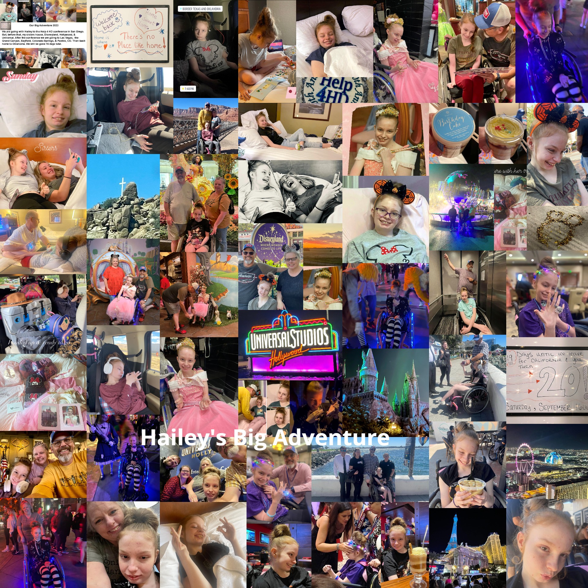 Hailey's Big Adventure